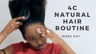 4C Natural Hair Routine  Wash Day [upl. by Assyl]