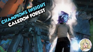 GW2 Champions Insight Caledon Forest Mastery Point [upl. by Farhi]