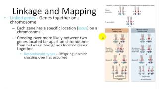 Cytogenetics in Plants [upl. by Romeyn]