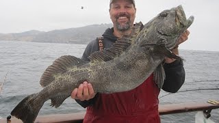 How To Catch Lingcod amp Rockfish Episode 9 [upl. by Evanthe]