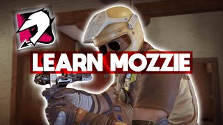 MozzieEXPLAIN Rainbow Six Siege [upl. by Novyaj]