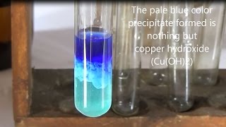 Reaction of copper sulphate with Ammonium hydroxide [upl. by Nisbet]