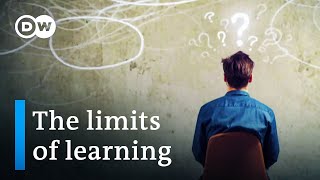 The limits of learning – kids in crisis  DW Documentary [upl. by Atikat311]