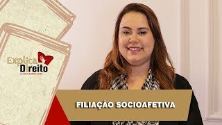 Explica Direito Filiação Socioafetiva  2019 [upl. by Sihonn]