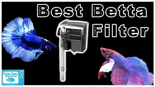 The Best Betta Filters for Your Aquarium [upl. by Leanatan]