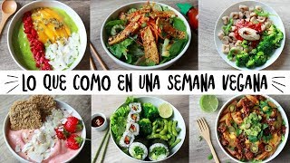 LO QUE COMO EN UNA SEMANA  VEGANO amp SALUDABLE [upl. by Flann]