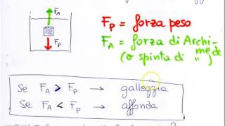 Galleggiamento e spinta di Archimede [upl. by Weissman942]