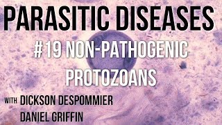 Parasitic Diseases Lectures 19 NonPathogenic Protozoans [upl. by Mcmillan]