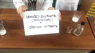 11 Making Lead II Sulphate Precipitation [upl. by Hoeg]