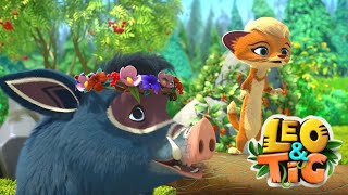 Leo and Tig 🦁 Summer best 🐯 Funny Family Good Animated Cartoon for Kids [upl. by Esmerelda]