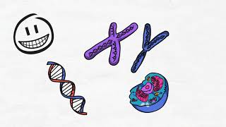 La herencia ADN genes y cromosomas [upl. by Mast]