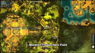 GW2 Auric Basin Hero Points Guide [upl. by Ardnekahs]