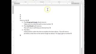 Paragraph and Line Breaks in MS Word [upl. by Hands21]