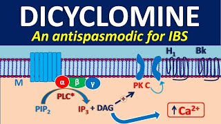 Dicyclomine as antispasmodic [upl. by Enylhsa922]