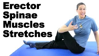 Erector Spinae Muscles Stretches  Ask Doctor Jo [upl. by Smith]