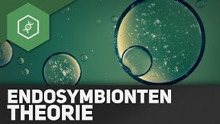 Endosymbiontentheorie [upl. by Hole]