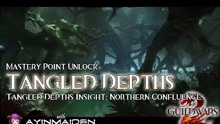 Guild Wars 2  Tangled Depths Insight Northern Confluence [upl. by Lissi]