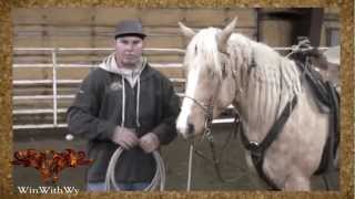 Rodeo Training  How to Start Calf Roping [upl. by Abagael]