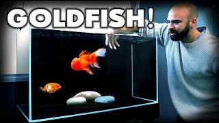 MAKING a FANCY GOLDFISH AQUARIUM Ranchu amp Oranda  MD Fish Tanks [upl. by Atener]