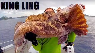 Fishing for Monster Lingcod [upl. by Akiv]