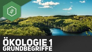 Grundbegriffe der Ökologie  Ökologie 1 [upl. by Dong]