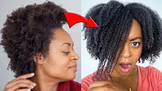 I Tried a WASH N GO on 4C HAIR Everyday For A WEEK IM SHOcKed [upl. by Ayikur]