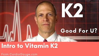 Intro to Vitamin K2 K2 has promise as a heart health supplement Some of the Evidence [upl. by Maureen]