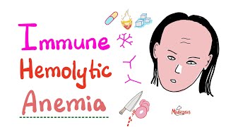 Immune Hemolytic Anemia intro [upl. by Anaytat42]