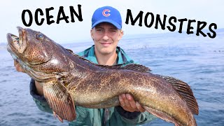 Catching GIANT Lingcod With Live Bait Vancouver Island [upl. by Aniahs]