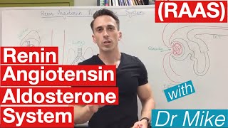 Renin Angiotensin Aldosterone system [upl. by Elka]