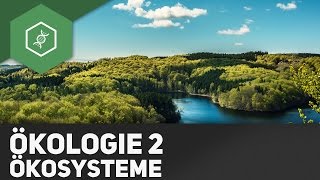 Ökosysteme  Ökologie 2 [upl. by Assert]