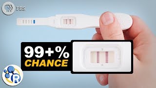 How Do Pregnancy Tests Work [upl. by Edmea]