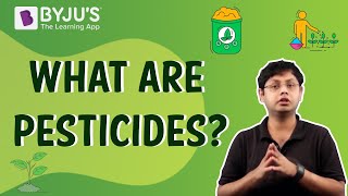 Pesticides  Uses Disadvantages and Advantages [upl. by Gibe]