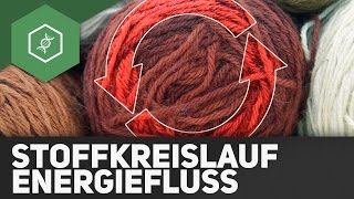 Stoffkreisläufe und Energiefluss  Ökologie [upl. by Sonnie]