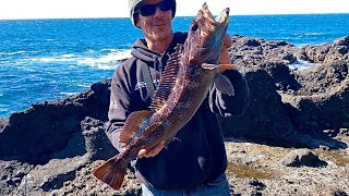 Rock Fishing The Oregon Coast Lingcod FISHING HEAVEN [upl. by Kutzenco]