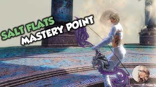 GW2 Salt Flats Desert Highlands Mastery Point [upl. by Liagabba54]