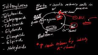 Diabetes Drugs Made Simple [upl. by Dehnel669]