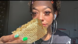 ASMR  Eating Raw Honeycomb 🍯🐻 STICKY SATISFYING SOUNDS [upl. by Paulsen907]