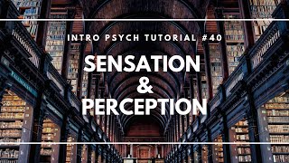 Introduction to Sensation and Perception Intro Psych Tutorial 40 [upl. by Ormand]