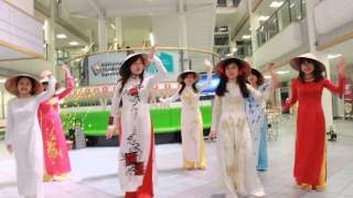 VCD2015 Vietnamese Traditional Dance [upl. by Ellerahs]