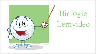 Diffusion amp Osmose  Biologie Lernvideo [upl. by Eudosia]