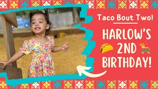 Harlow’s 2nd Birthday Fiesta 🪅 🌮 [upl. by Neirol84]