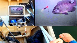 🔥 2020 REVIEW Eyoyo Underwater Fishing Camera Live Handson Testing [upl. by Bergess]