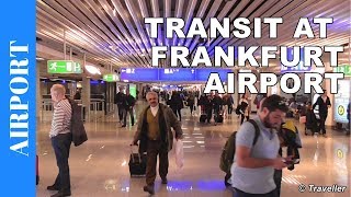 TRANSIT WALK AT FRANKFURT Airport FRA Terminal 1  Connection Flight Transfer Arriving amp Departing [upl. by Healey]