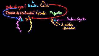 Introducción a la herencia  Herencia y evolución  Biología  Khan Academy en Español [upl. by Eneroc679]